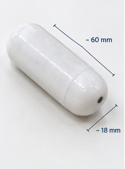 Size reference for the LoRaWAN bio-capsule